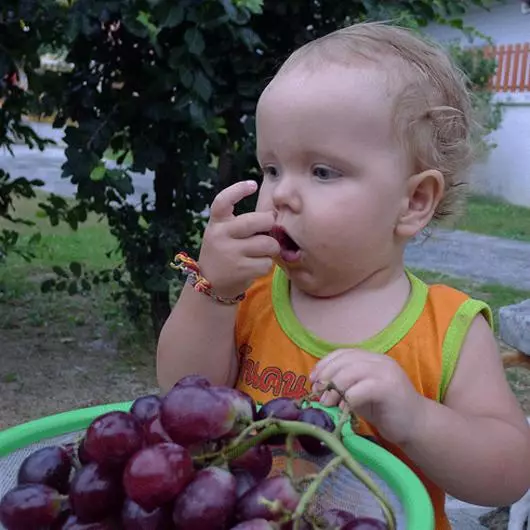 Записки тайської матусі: «Король фруктів» так смердить, що його заборонено проносити в готелі