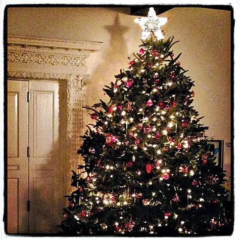 Miranda Christmas Tree Kerr parece tradicionalmente. Foto: Instagram.com.