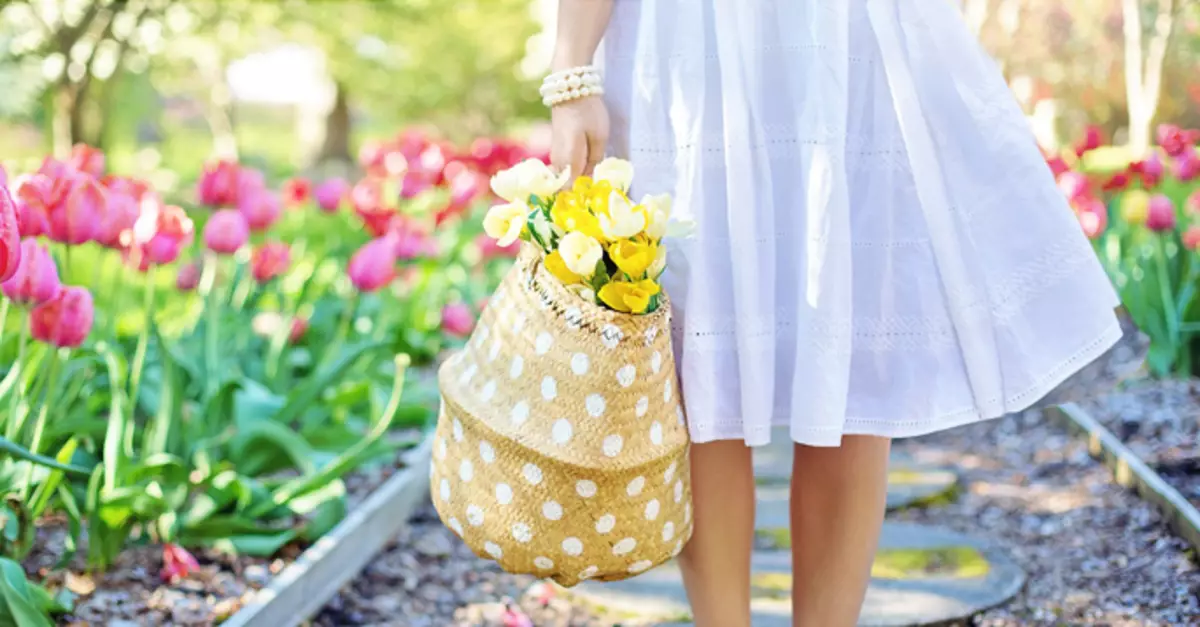 Goldene Birne: Parfüms mit der Hauptfederblume