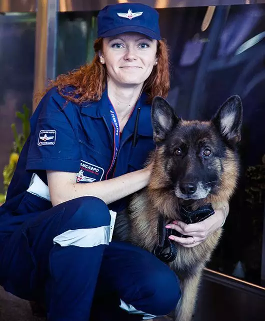 Cerita yang tidak teratur. Dengan pengabdian anjing