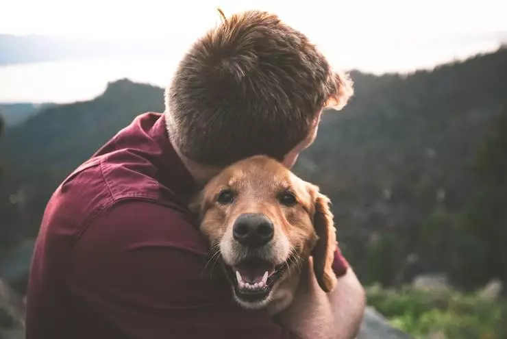 Amo o animal, mas não coloque um nível com você