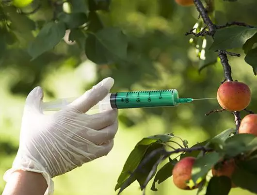 پوشیدہ خطرہ: GMO کیا ہے؟