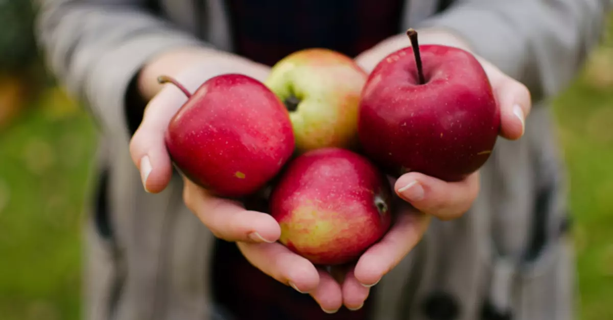 Wat om van appels te kook: Resepte van