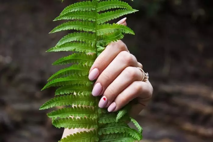 නියපොතු සාප්පුව ද උග්ර නොවිය යුතුය