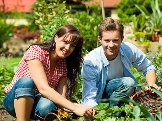 איך לטפל הידיים שלך ב Dacha עבודה?