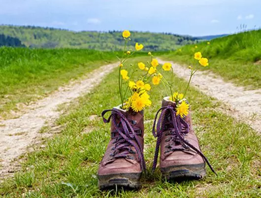 Pourquoi les gens vont-ils devenir fou au printemps?