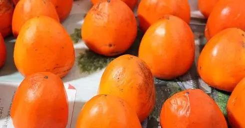 Tsarskaya Berry - Persimmon.