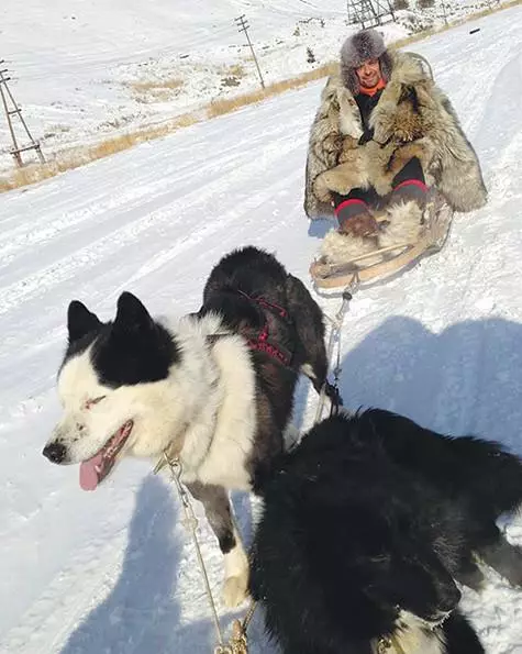 Un recente viaggio d'affari a Yakutsk ha sorpreso in tutte le gelate di primavera e sollevò l'umore della slittino del cane. .