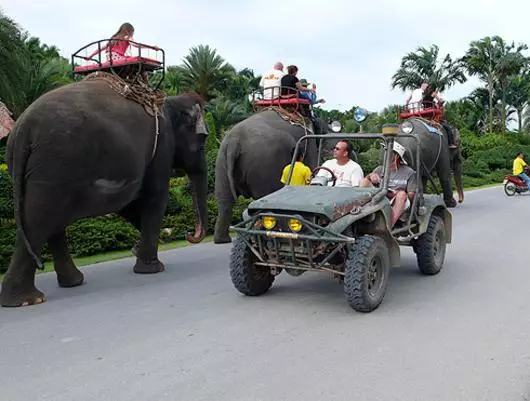 Faamatalaga o Thai Mommy: "O le tietie i le isi itu i luga o le Phuket - o le masani masani"