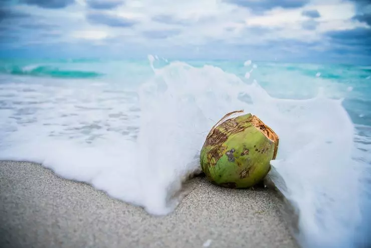 In mare, l'olio è utile per la protezione dal sole e dalla bella scottatura