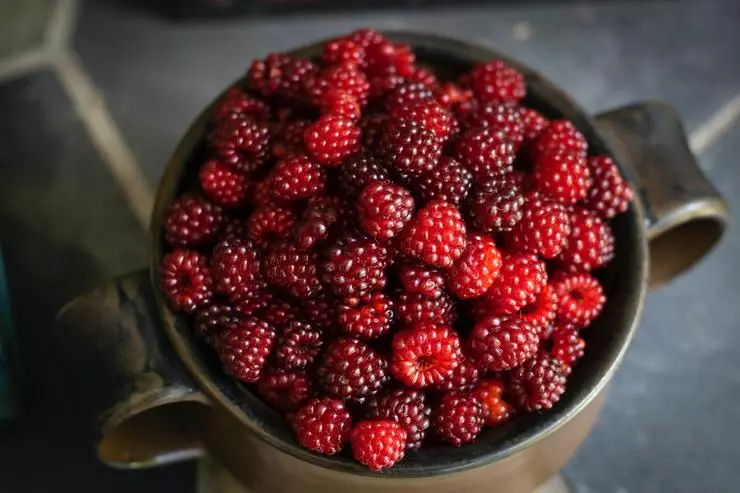 Berries huma sinjuri fil-vitamini u aċidi naturali