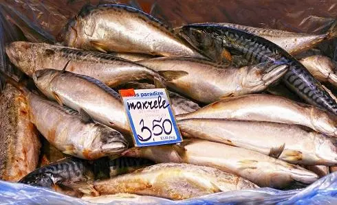 Mackerel okoma osasuta