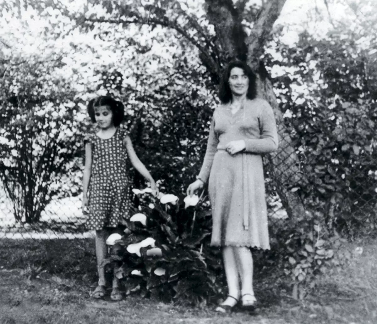 Diana sa născut în Sukhumi și a fost un al patrulea copil într-o familie și profesor de miner (în fotografie cu o mamă ZAICA)