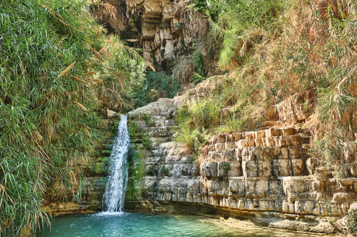 Ein Gedi國家公園以其最純淨的水而聞名。字面上，它的名字被翻譯為“山羊來源”