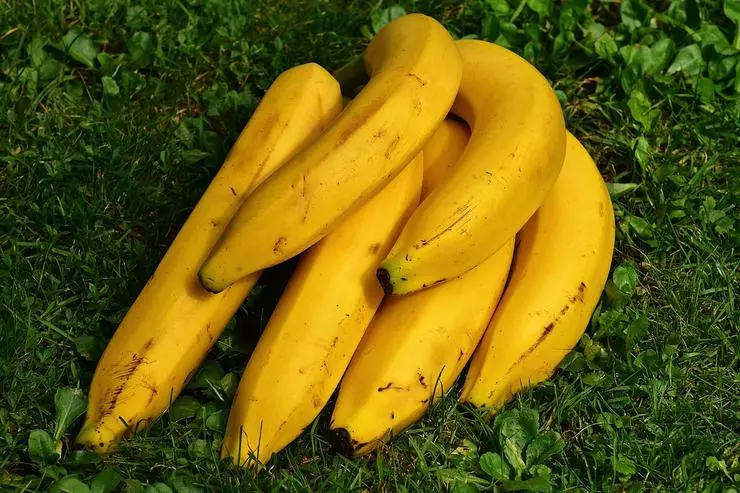 Bananer tar som ett mellanmål