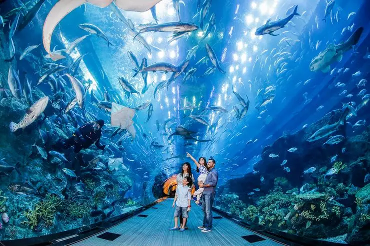 Në Aquarium Dubai, ka 33 mijë banorë të deteve dhe oqeaneve