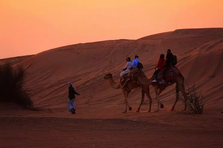 Në shkretëtirë ju mund të hipni në deve