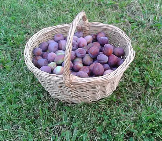 Na-akwadebe plums marinated