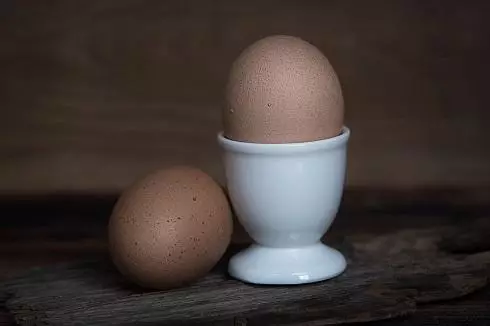 Eggs improve brain