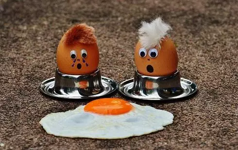 אכילת ביצים מקטינה את הסיכון למחלות לב