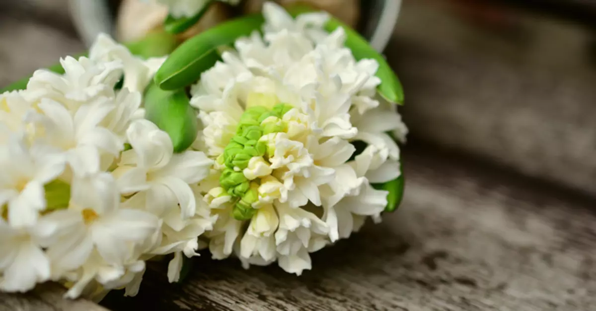 Waltz Flowers: Fragrances with tarts of Hyacinth nota