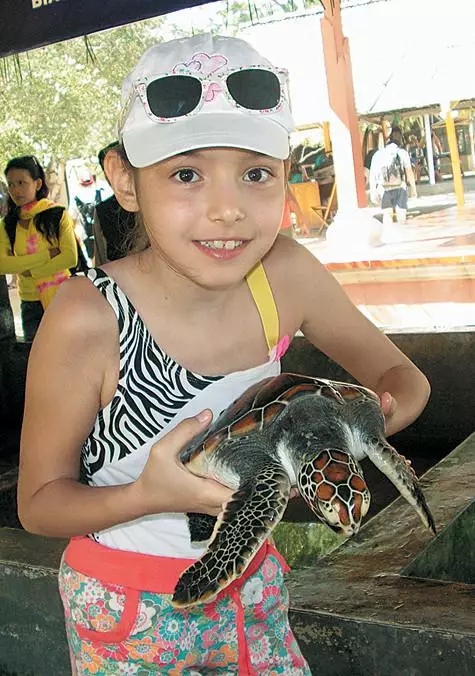 Di Bali Sofia berteman dengan kura-kura. .