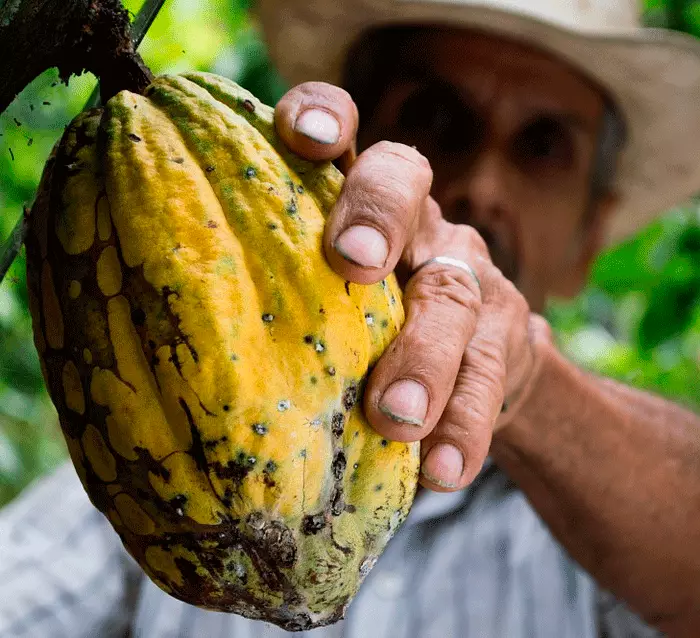 Colombia is niet alleen beroemd door geselecteerde koffiebonen