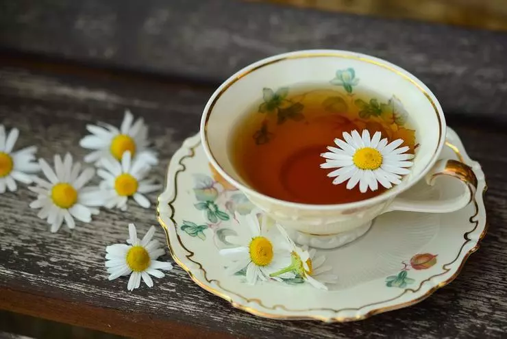 Chamomile нь унтахаас өмнө ашигтай байдаг