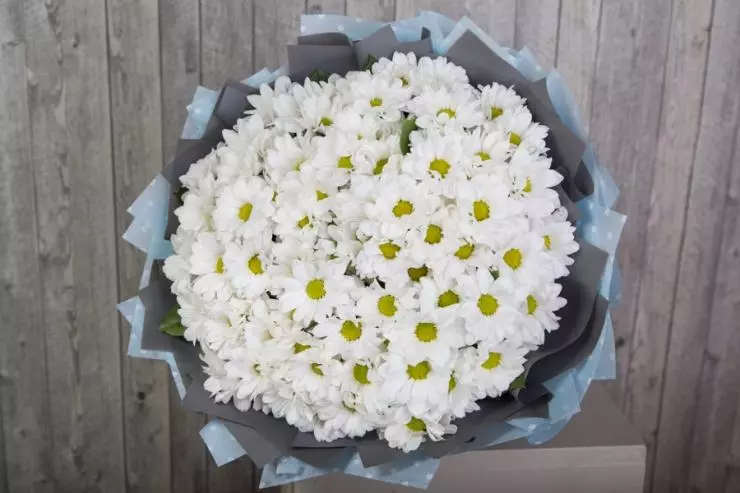 Bouquet of chrysanthemum bacardi