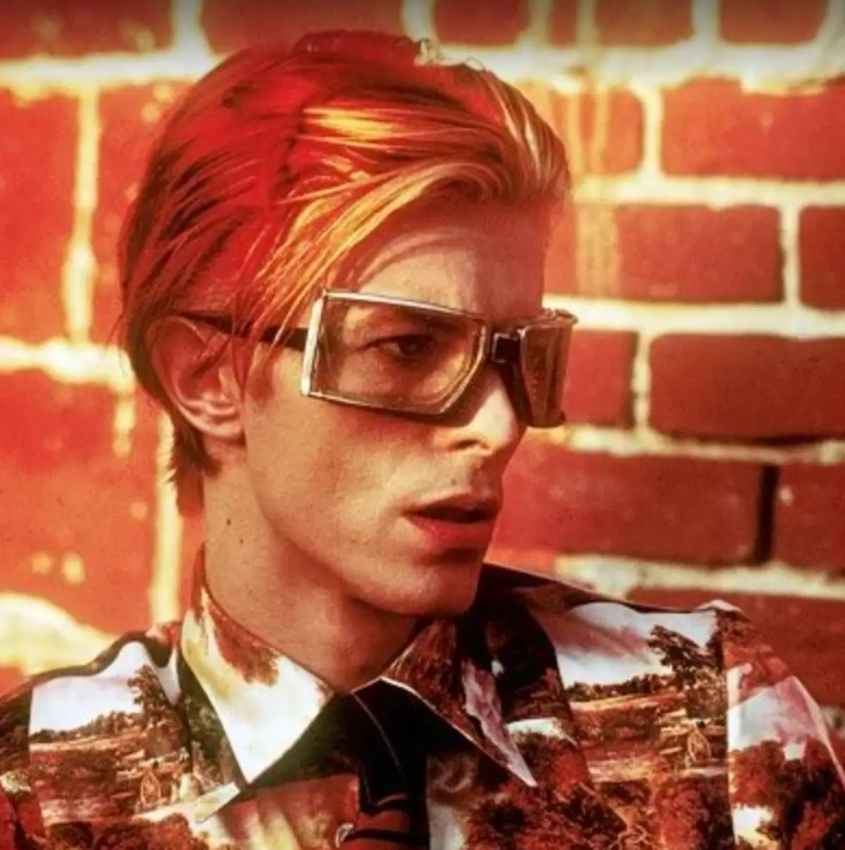 Women David Bowie, peneter vereshchagin lan stegal 37219_1