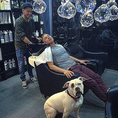 Bulldog named Snow White accompanies Mitu Fomin even in beauty salon. .