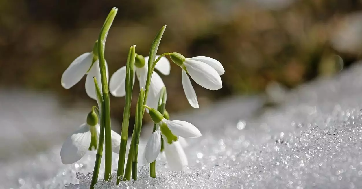 5 façons de se préparer au printemps