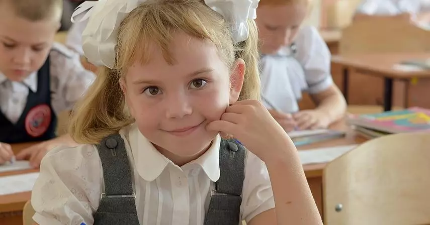 Privado o estado - en qué escuela enviar a un niño