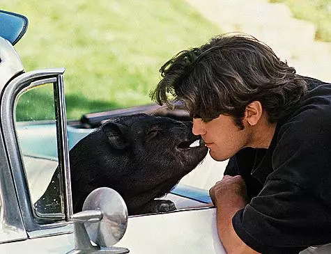 Ο Kaban που ονομάζεται Chick Max έζησε με τον George Clooney δεκαοκτώ χρόνια. Ο ηθοποιός τον πήρε με τον εαυτό του στην τηλεοπτική εκπομπή και χωρίζει το κρεβάτι μαζί του.