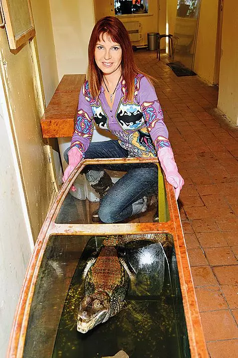 Крокодил Федја живеел во куќата на пејачката Наталија Штурм за петнаесет години, а потоа израснал, и тој бил пренесен во зоолошката градина