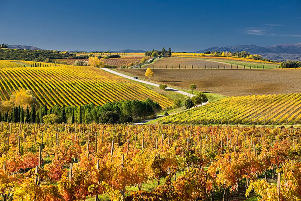 Beauty Chianti Prom poziva da uživa u životu