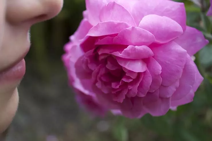 Boladh míthaitneamhach na n-idirghabhálaí ottopnet béal