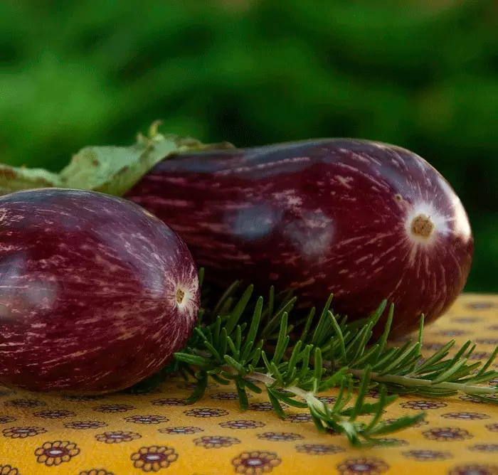 Wrestler arall gydag edema o fyd llysiau - eggplant