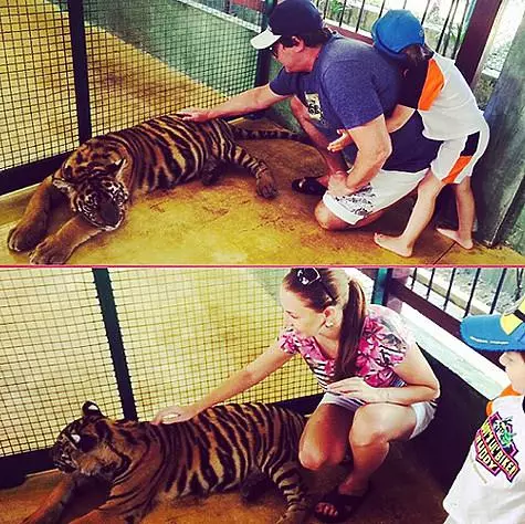 Полинадиброва_ admitrydibrov: «Тигрит өте қымбат және қызығушылық танытады. Оларды бас пен мойынға үтіктеуге және оларды тек артта қалуға тыйым салынады. » Фото: Instagram.com/polininadibrova_dmitrydibrov.
