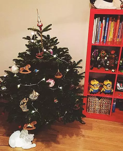 Alena Vodonaeva va avea doi copaci de Anul Nou. Foto: Instagram.com.