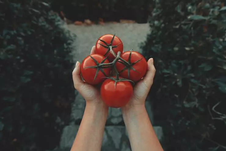 Ṣafikun awọn tomati ni awọn saladi ati mura wọn lori ibina