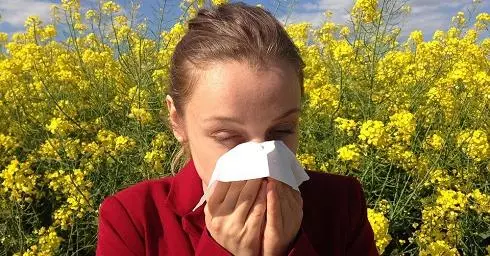 5 tips til, hvordan ikke at lide i foråret fra allergier