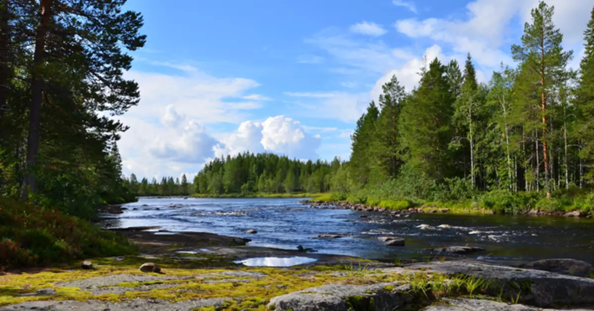 Mikä yllättää Kalevaalyn maa