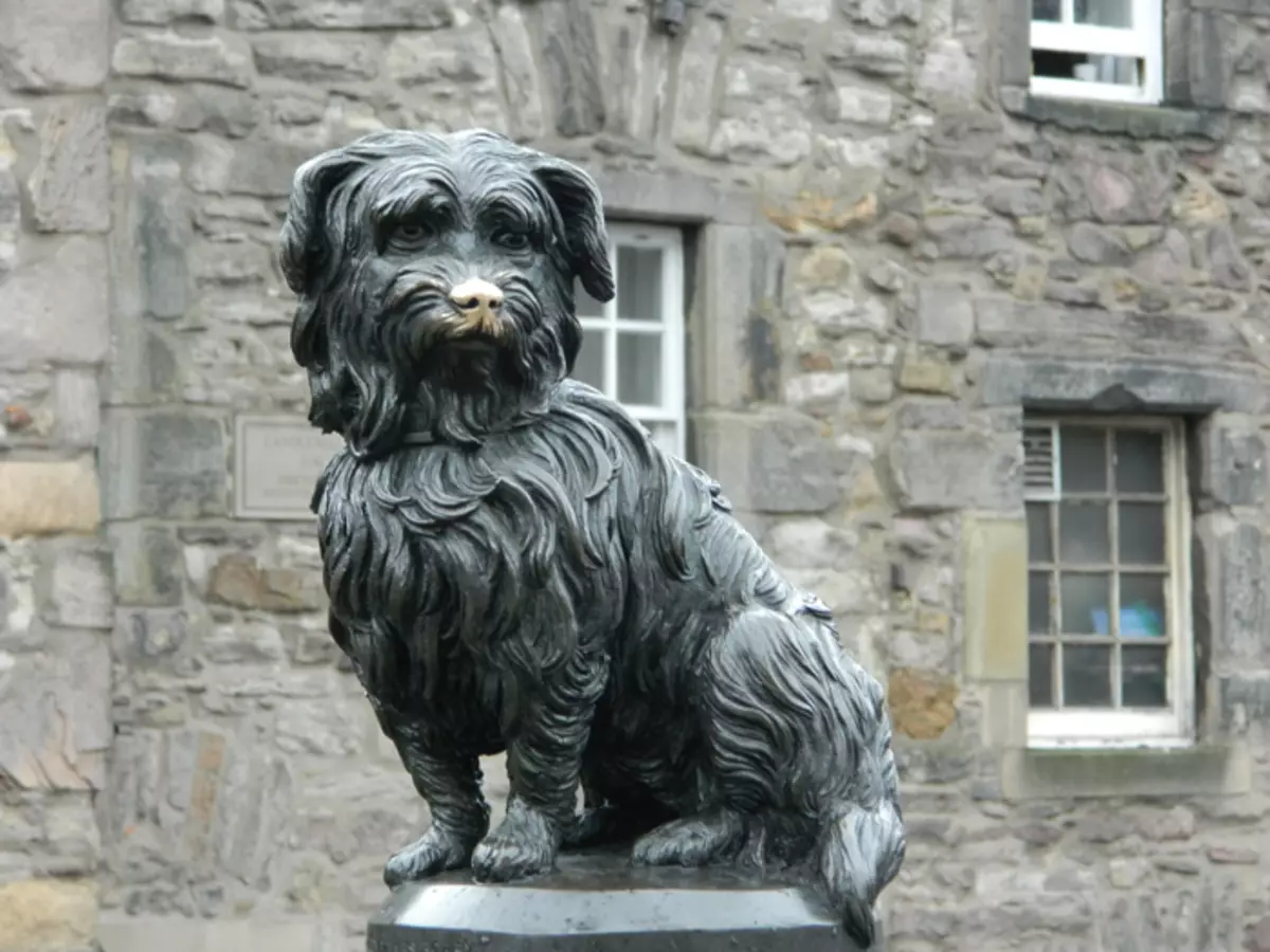 Sky Terrier Bobby因他的忠诚而闻名：他守卫着他的主人坟墓十四年。现在游客摩擦雕像的鼻子祝你好运