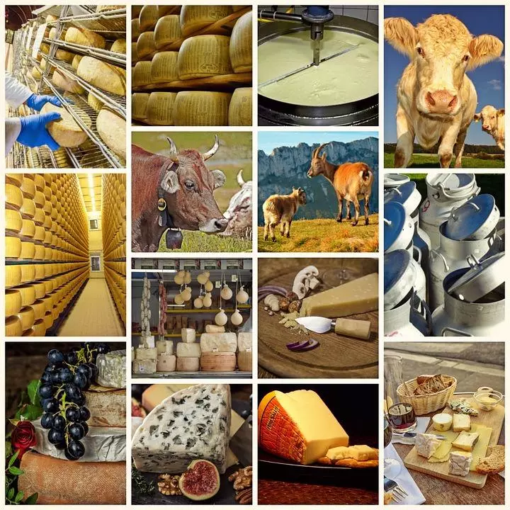 Odată cu introducerea sancțiunilor, brânza a început să o facă în Rusia