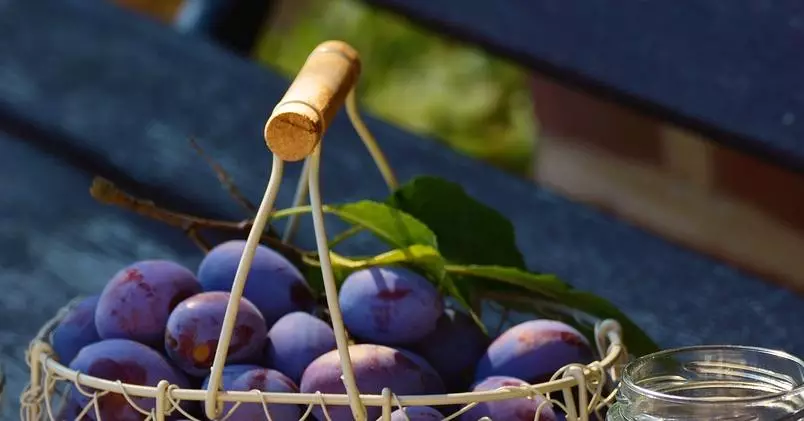 5 Ezi ntụziaka Plum