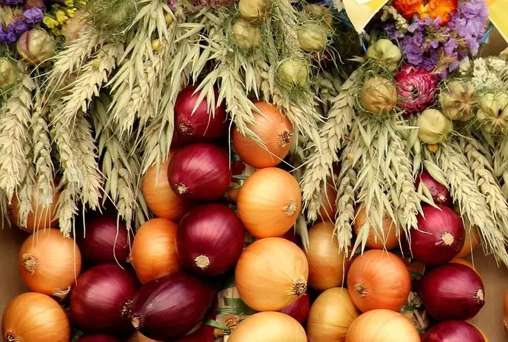 ಈರುಳ್ಳಿ ಹೆಚ್ಚು ಸಾಮಾನ್ಯ ಅಗತ್ಯವಿದೆ