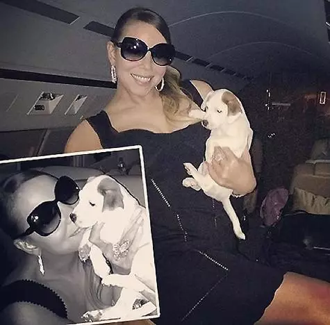 Mariah Carey med hunder. Foto: Instagram.com/mariahcarey.
