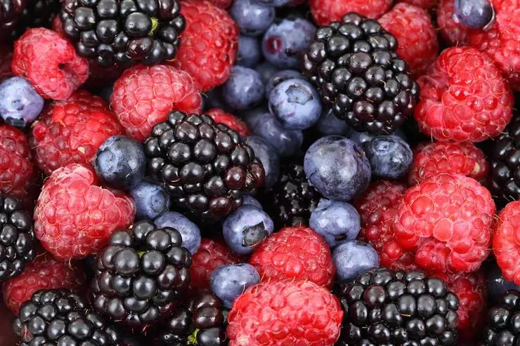 Beeren sind reich an Antioxidantien