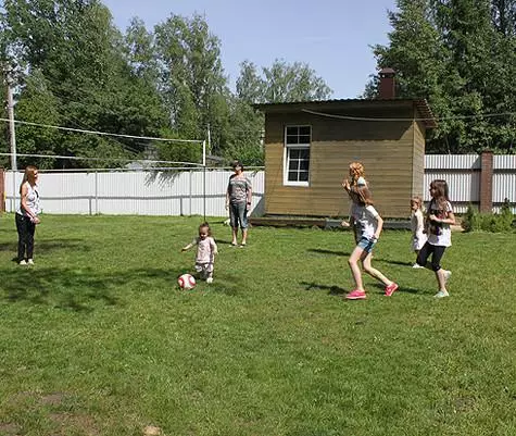カブトムシの家族全員が喜んで地域のボールを追いかけます。写真：Gertrude Zhigarev。